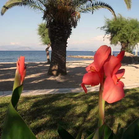 Three Stars ホテル