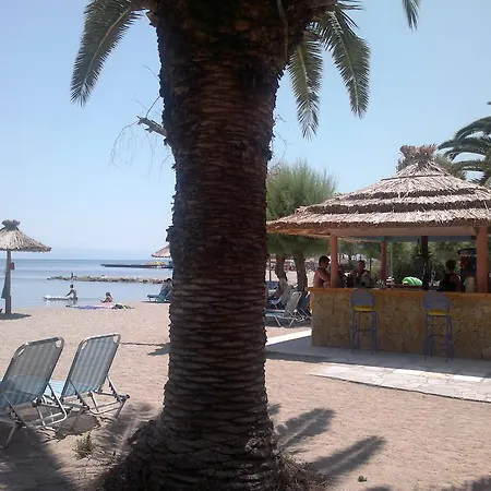 Three Stars Hotel 2*